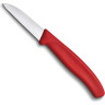 Нож для овощей и фруктов VICTORINOX SWISS CLASSIC 6.7301